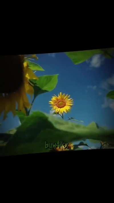 Scadutree Avatar Be Like...