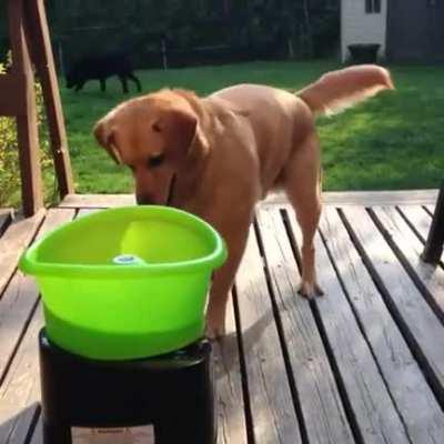 dIsGUstInG bLoNdE AniMaL pLaYs wItH HiMSelF iN pUblIC iN fRoNt oF oLd BlAcK lAdY!!1!