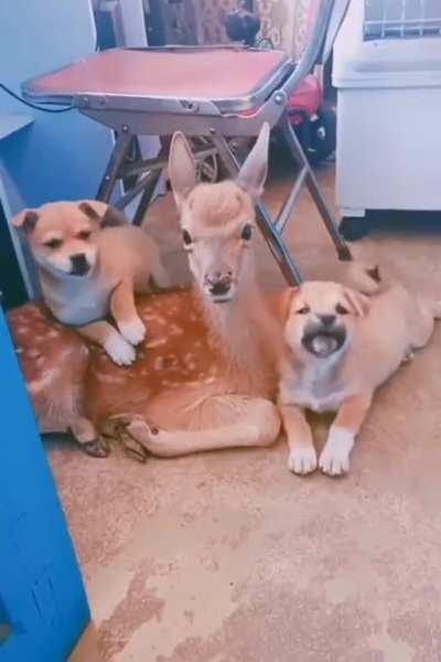 Please let him stay with us.