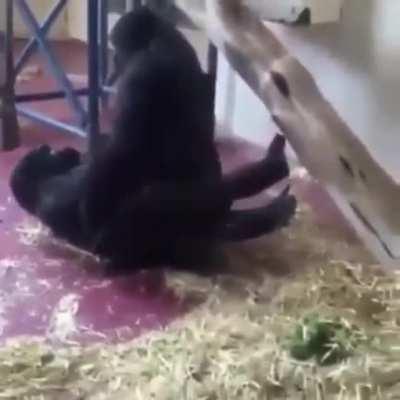 Me and babe🥵🥵🥵🥵🥵🥵