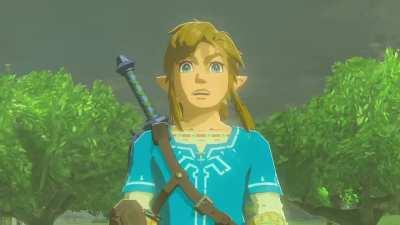 Link remembers the past and then gets lasered