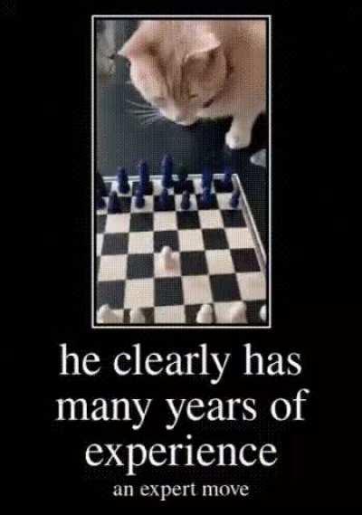 Checkmate