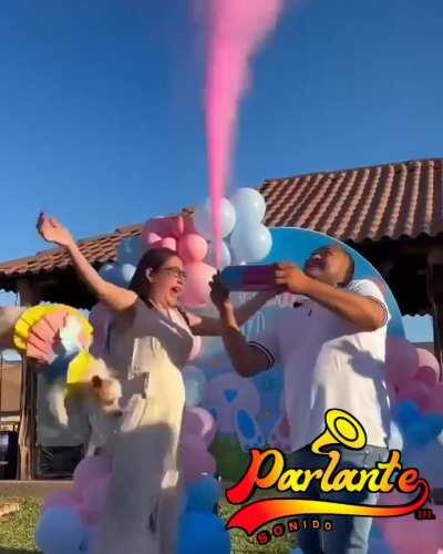 Chin&o a su madre el perrhijo..
Ya no más perrhijo..
Se acabó el perrhijo.. 🤣🤣🤣