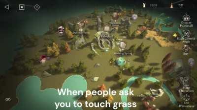 When they say touch grass