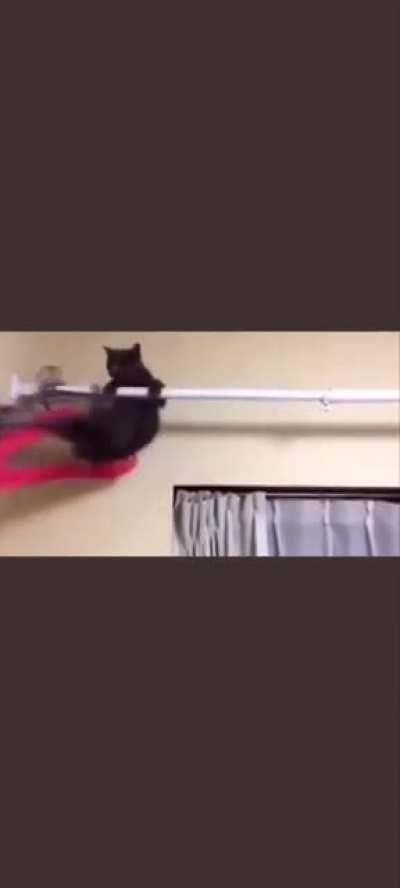 HL1 cat edits are the greatest gift to humanity