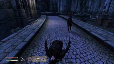 this is how oblivion was meant to be played