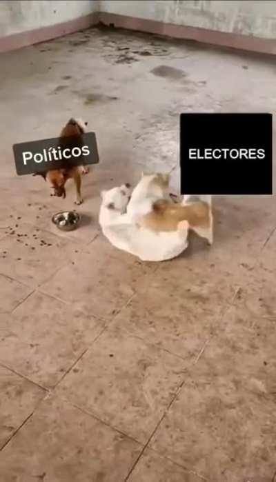 chairos vs fifis… ¿alguna vez tendremos politicos en Mexico tan buenos como Jacinda Ardern?