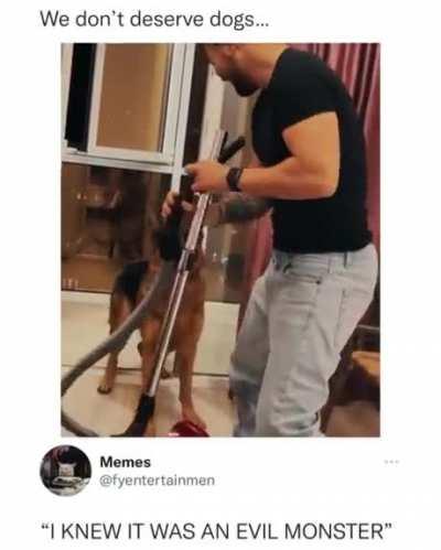 So happy this good dog was around to save the day