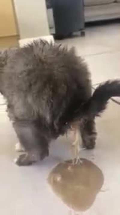 Thanks I hate parasites