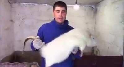 Novo bicho do administrativo!!😍💞💞