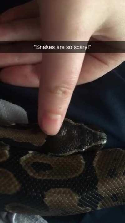 My grandma thinks she’s “going to get 20 feet long and eat you while you sleep!”