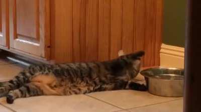 A new level of laziness