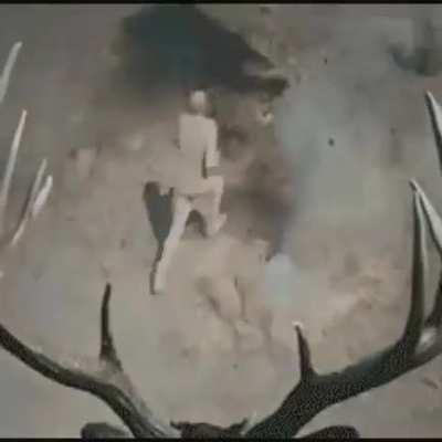 Elon better get his backyardigan