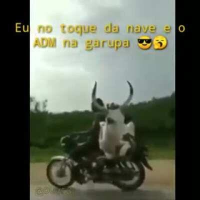 ADM na garupa (▀̿Ĺ̯▀̿ ̿)