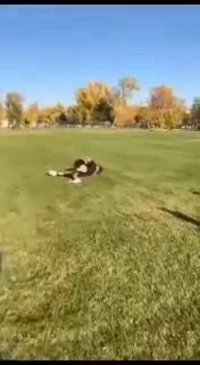 Fight at park