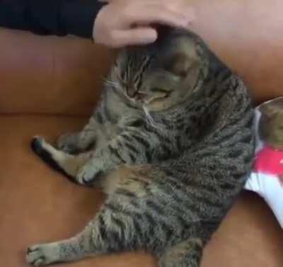 Sad chonker boy
