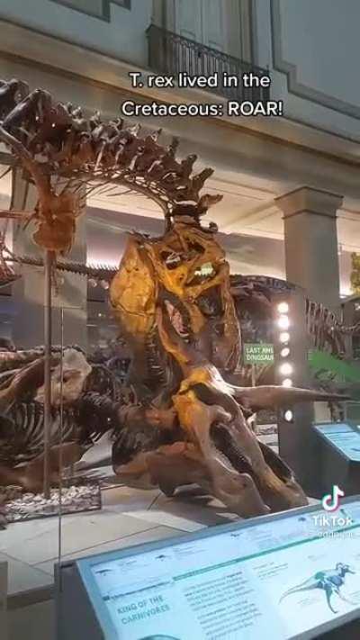 a cute little jingle about the geologic eras i found a while ago :)