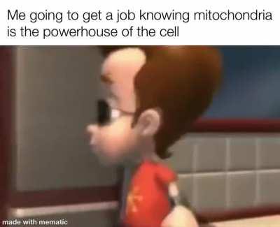 School obviously taught me a lot