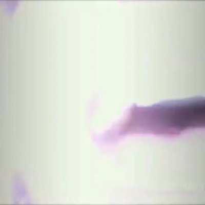 Para los madrugadores