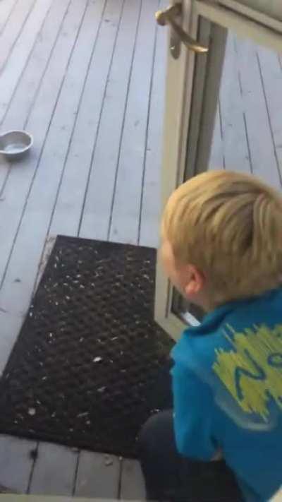 Stupid kid breaks glass.