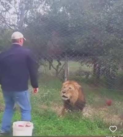 Focus on your goals.