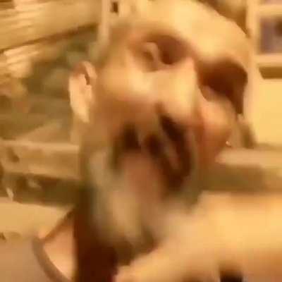 OrochiLive - Video #0491