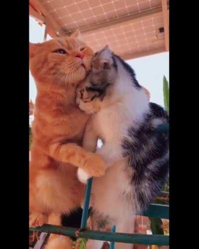 What are you looking at?