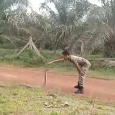 Как я за него нервничал.