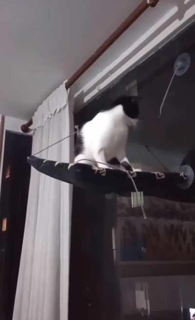 Why did the Wunkus fall to his death? Is it stupid?