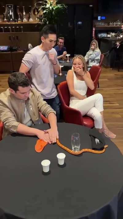 Orange you glad it's alive