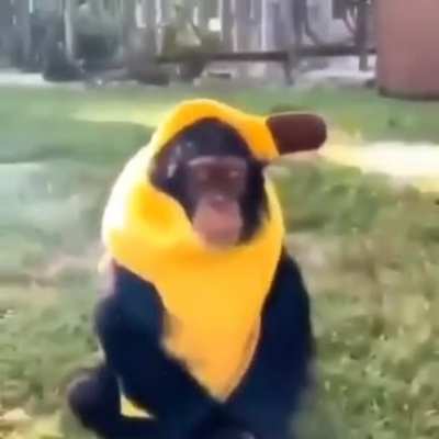monke