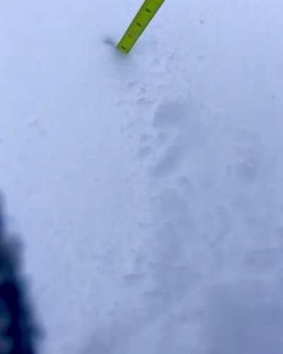 There will be no measuring today!