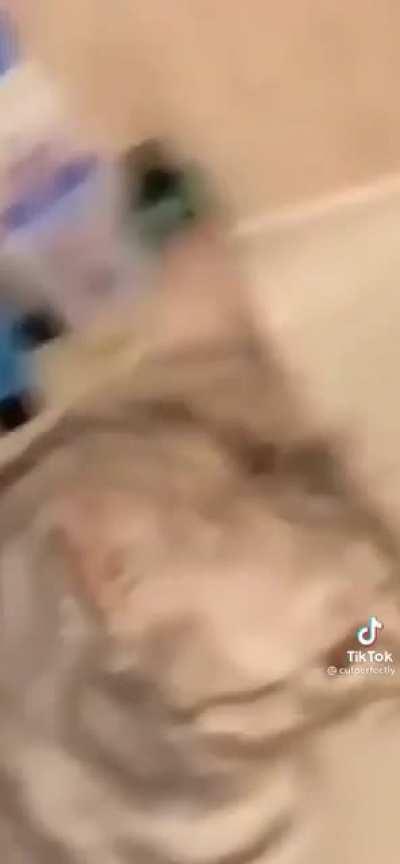 I too like to yell in the shower