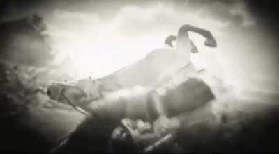 First class mail from Tahiti