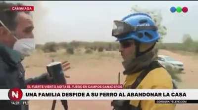 Familia abandona a su perro en medio de los incendios en Cordoba