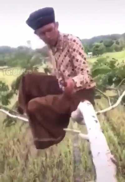 I'll cut that branch off the tree, what could go wrong?