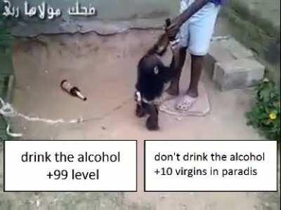 That's how mafia works🐒🦍