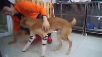 Look at my new legs!