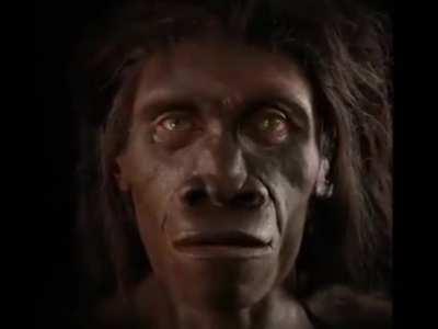 Our face from our recent ancestors to us