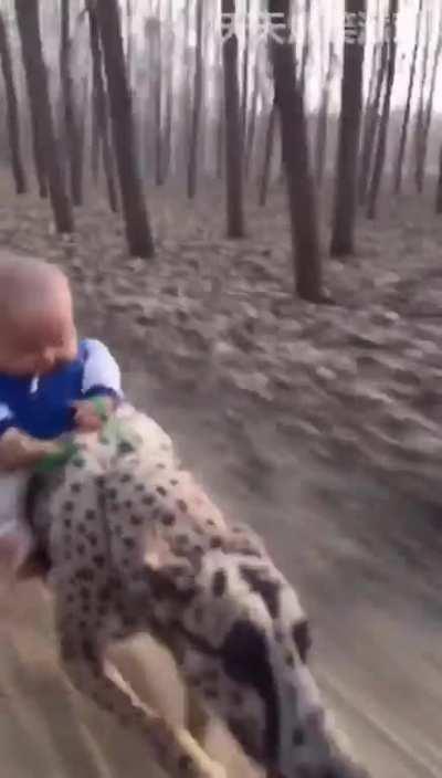 can your baby do this?