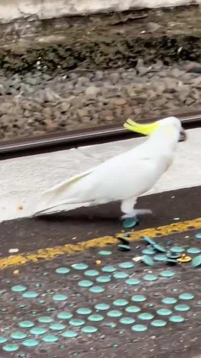 Vandals at a local train station.