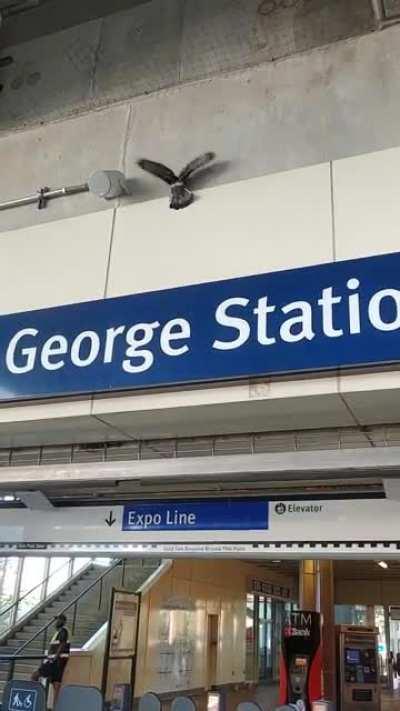 Должен...уместиться