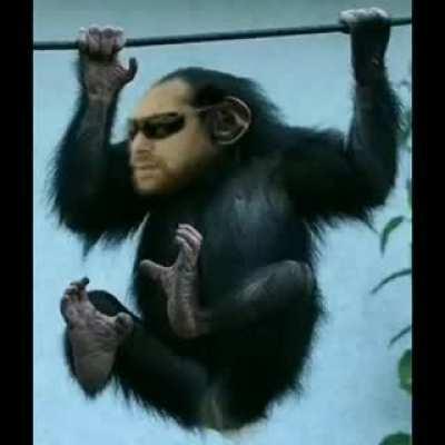 Yakshanis: Monke Bhoi edition