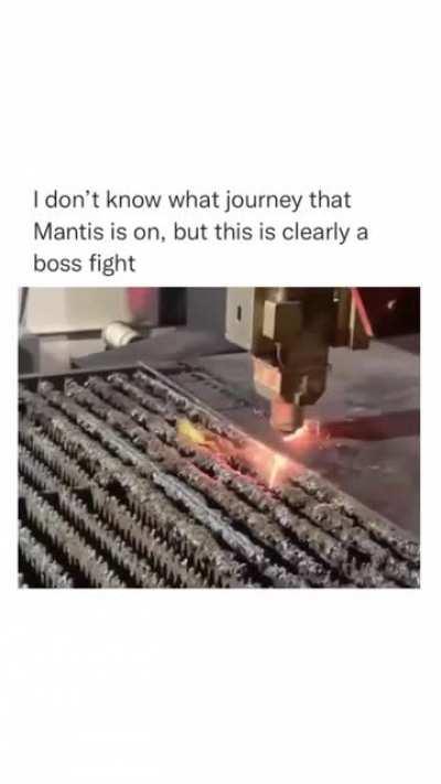 Mecha Sparx vs Morning Coffee Mantis, VIT/STR vs AGI/DEX