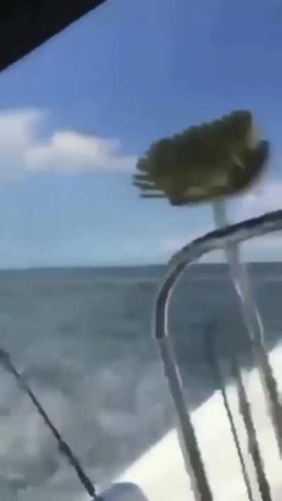 Girls trying to be dudes, but duding from the wrong part of the boat 😔