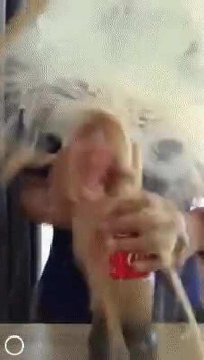 What could possibly go wrong