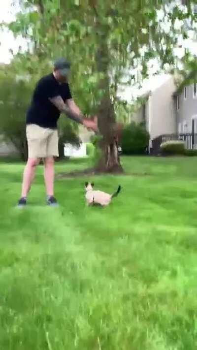 All I wanted to do was help him reach the branch...