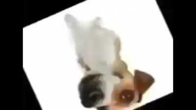 wenimechainthesummer remix 🔥🔥