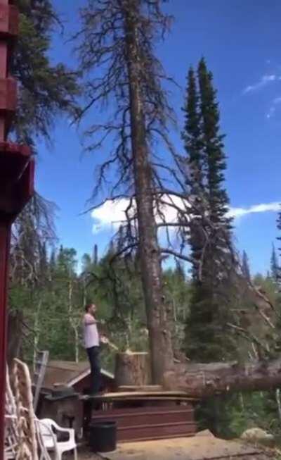 Pro Top: when cutting tree, run in opposite direction