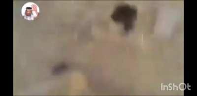 LMG session gone wrong